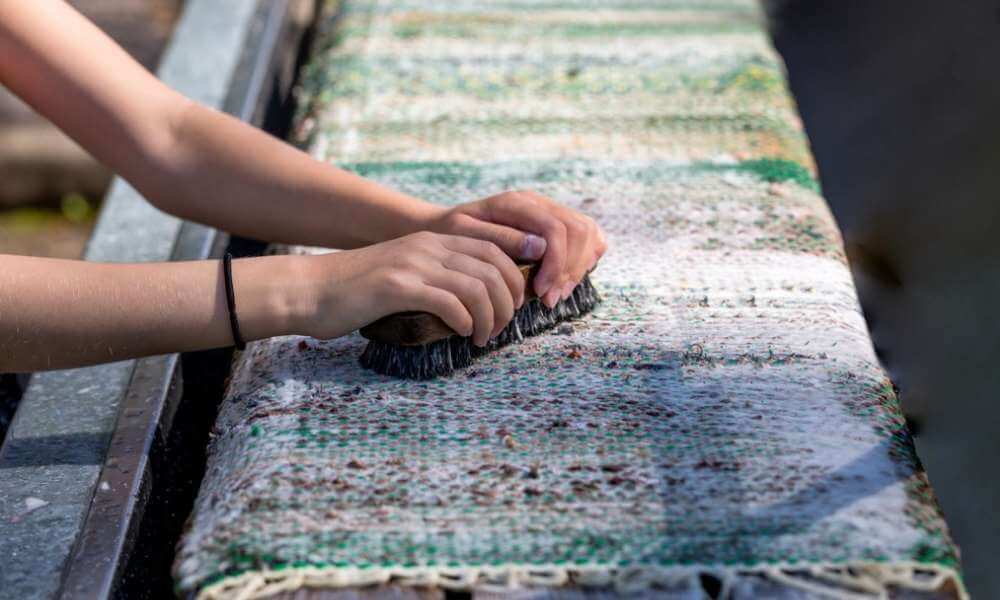 How To Clean Outdoor Rug
