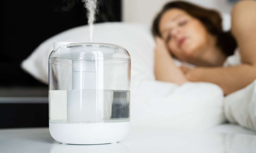 Choose The Right Put Humidifier
