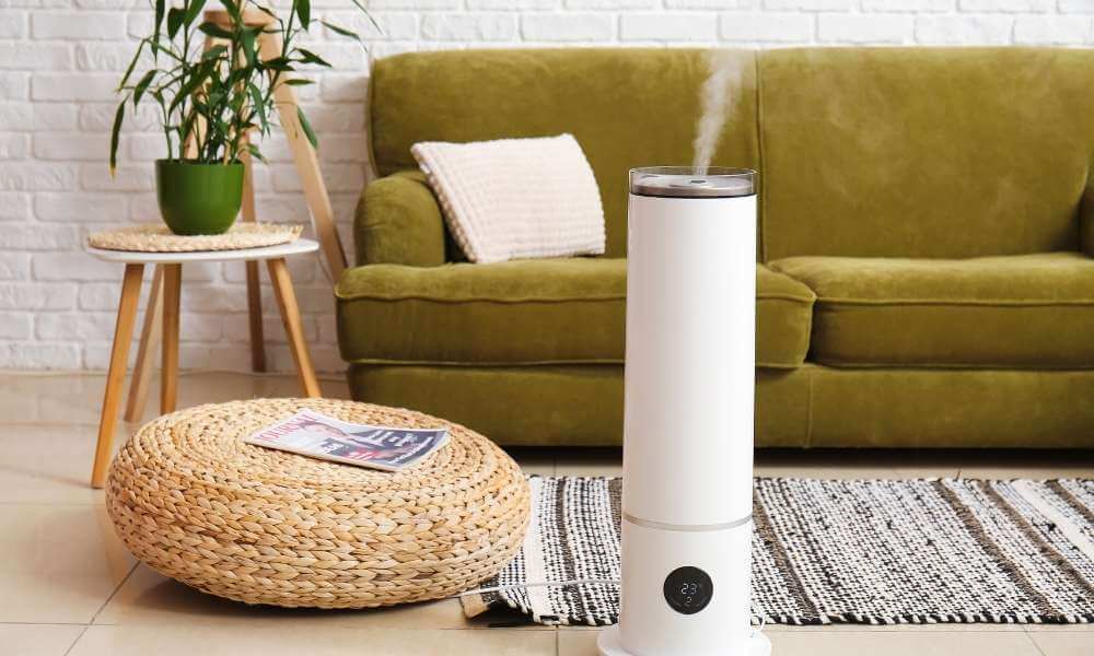 Humidifier In Living Room