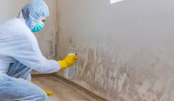 Commercial Mold Removers Ceiling Bathroom