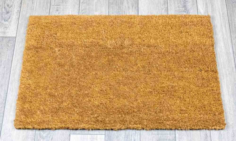 The Humble Floor Mat