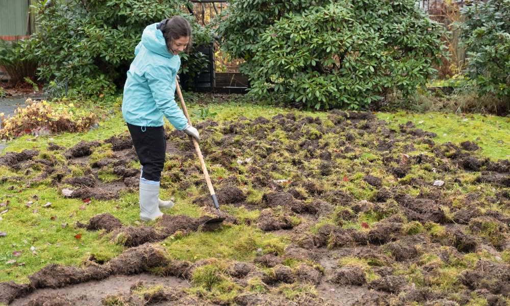 Treatment For Chafer Grubs In Lawn